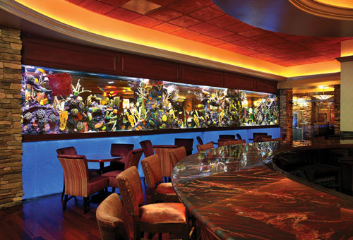 Valley View Casino Buffets, Food & Restaurant Dining in San Diego